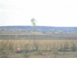 IMG_1331.JPG