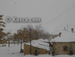 PICT1142.JPG