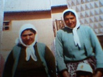 153556.jpg