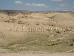 IMG_2095_Small.JPG