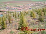 orman4.jpg