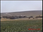 sargir.jpg