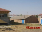 IMG_2545.jpg