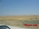 IMG_2557.jpg