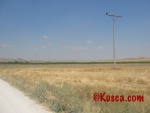 IMG_2558.jpg