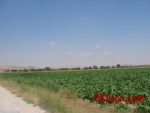 IMG_2560.jpg