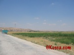 IMG_2561.jpg