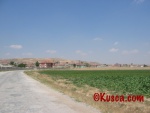 IMG_2563.jpg