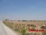 IMG_2564.jpg