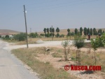 IMG_2572.jpg