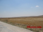 IMG_2608.jpg