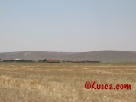 IMG_2615.jpg