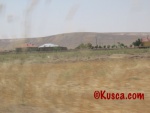 IMG_2616.jpg