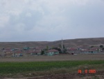 Billede_576.jpg