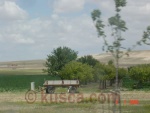 Billede_588.jpg