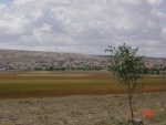 Billede_620.jpg